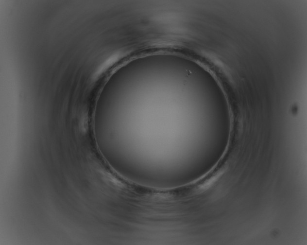 X0000093511306200710191301