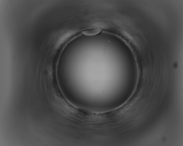 X0000093511307200710191301