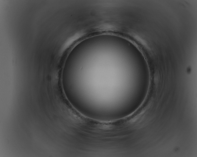 X0000093511309200710191301