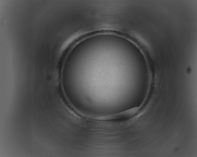 X0000093511310200710191302