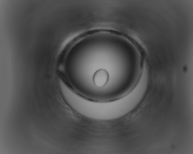 X0000093511312200710191302