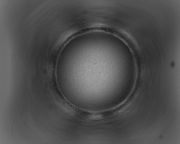 X0000093511313200710191302