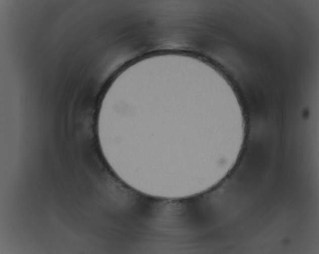 X0000093511314200710191302
