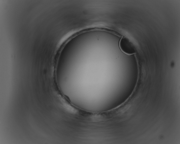 X0000093511316200710191302