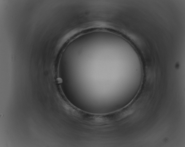 X0000093511318200710191302