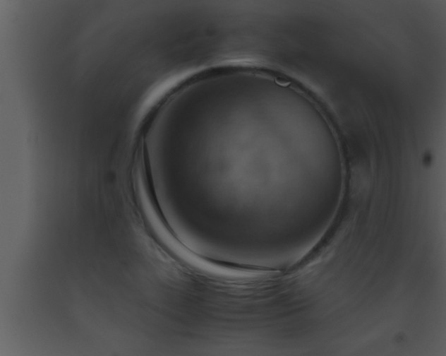 X0000093511319200710191302