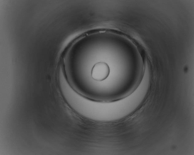 X0000093511320200710191302