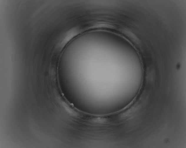 X0000093511321200710191302