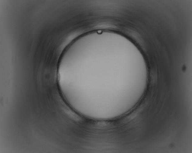 X0000093511322200710191302