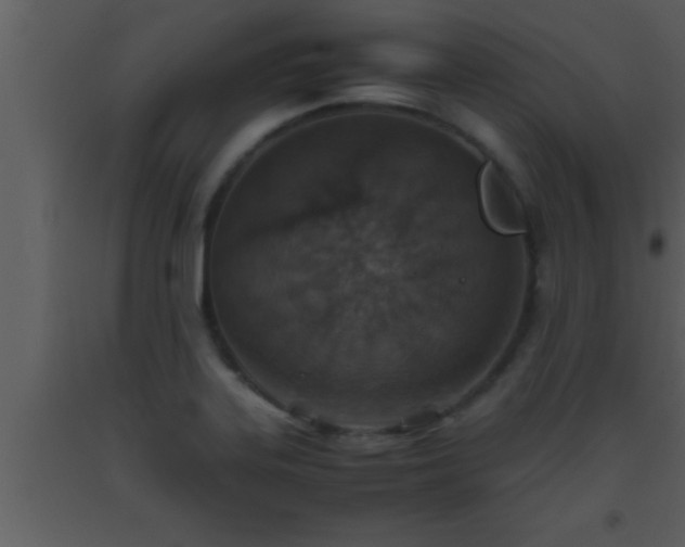 X0000093511323200710191302