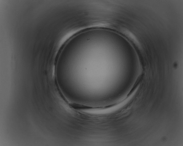 X0000093511324200710191302
