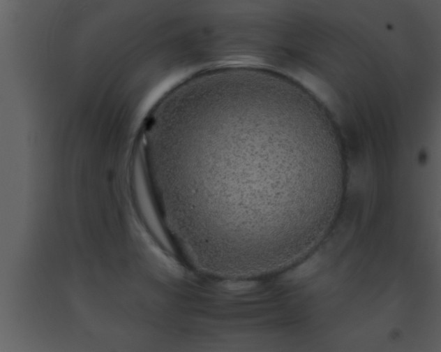 X0000093511325200710191302