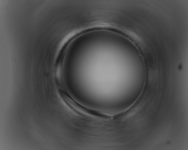 X0000093511326200710191302