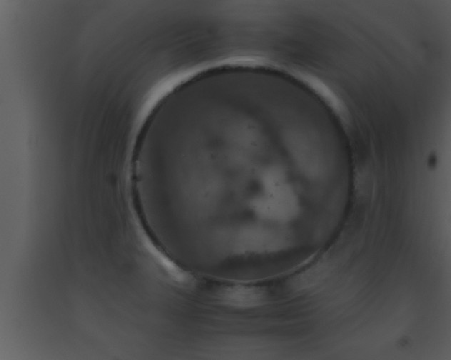 X0000093511327200710191302