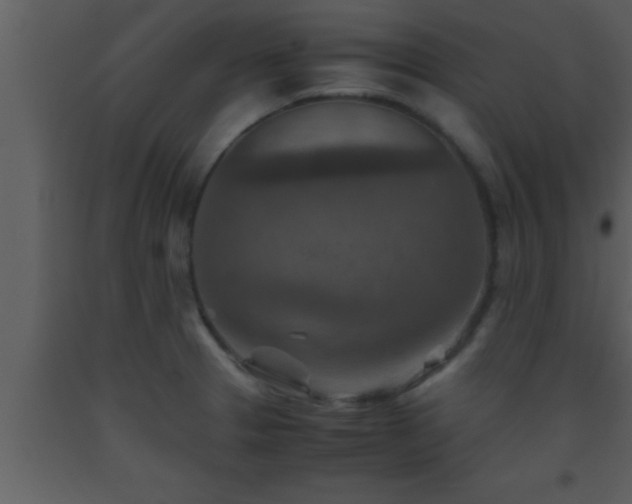 X0000093511329200710191302