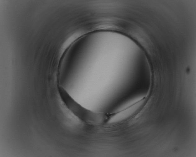 X0000093511330200710191302