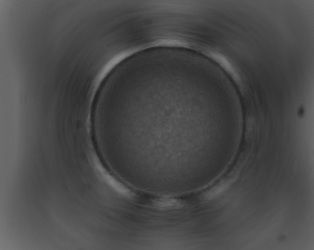 X0000093511331200710191302