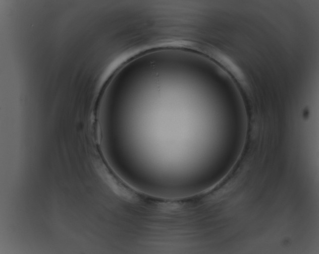 X0000093511332200710191302