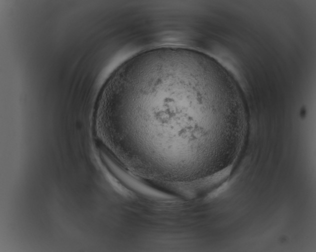 X0000093511333200710191302