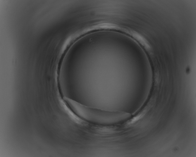 X0000093511334200710191302