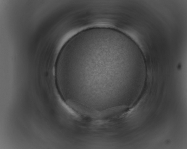 X0000093511335200710191302