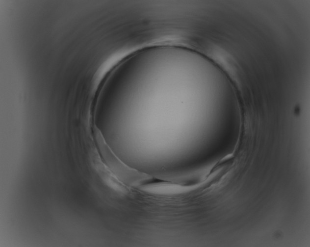 X0000093511336200710191302