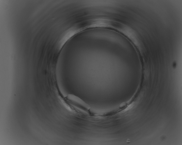 X0000093511337200710191302