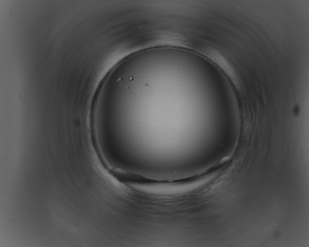 X0000093511339200710191302