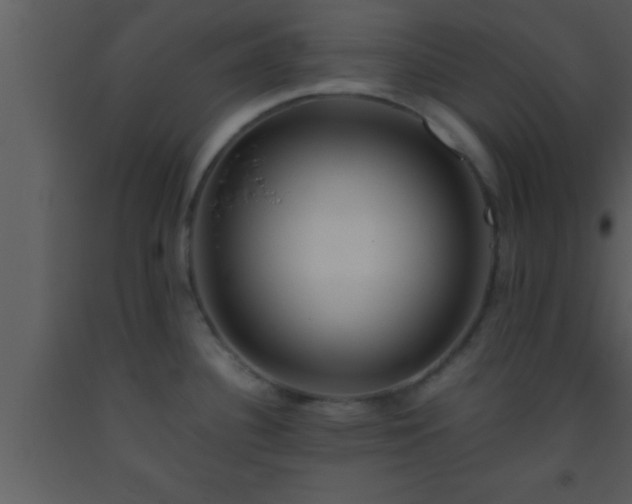 X0000093511340200710191302