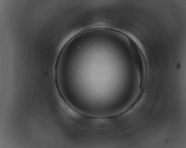 X0000093511341200710191302