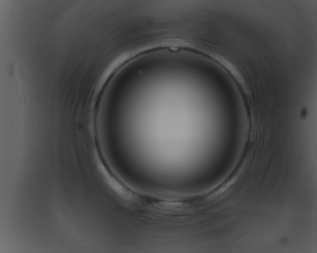 X0000093511342200710191302