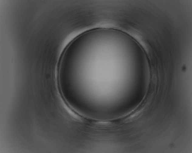 X0000093511343200710191302