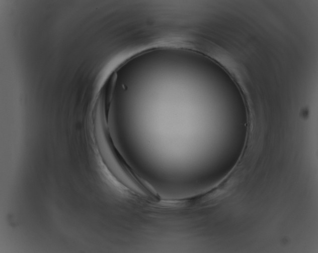 X0000093511344200710191302
