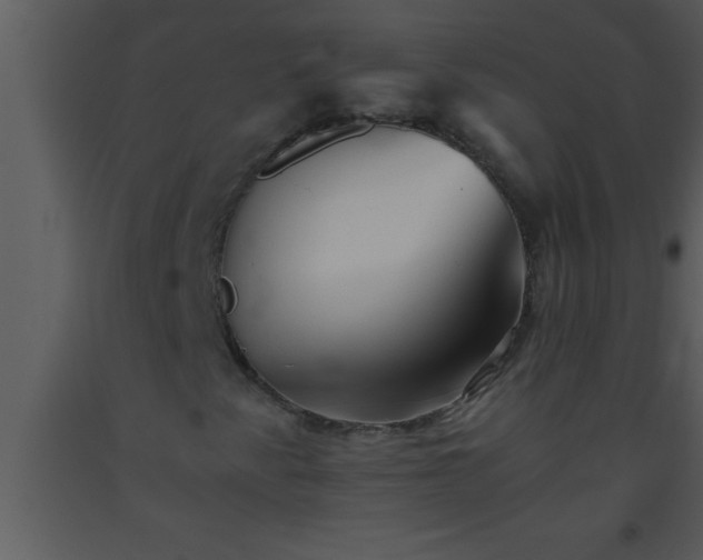 X0000093511345200710191301