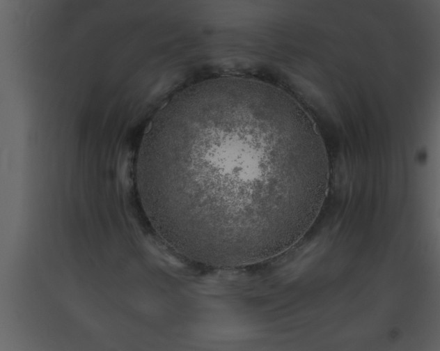 X0000093511346200710191301