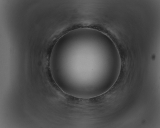 X0000093511349200710191301