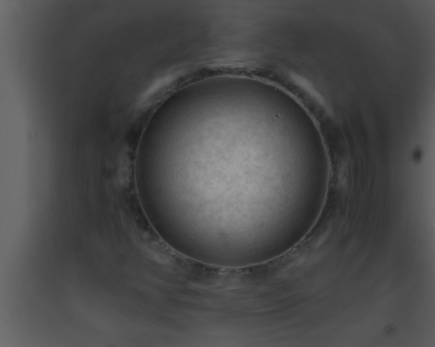 X0000093511350200710191301