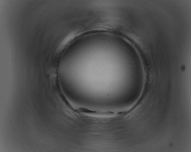 X0000093511355200710191301