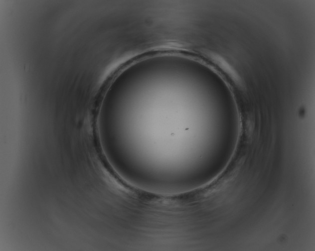 X0000093511356200710191301
