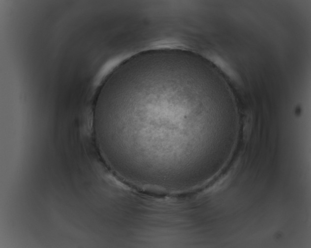 X0000093511358200710191301