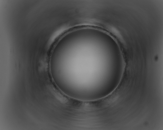 X0000093511360200710191301