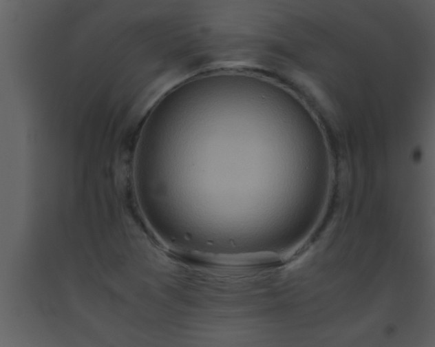 X0000093511361200710191301