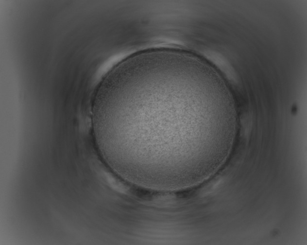 X0000093511363200710191301
