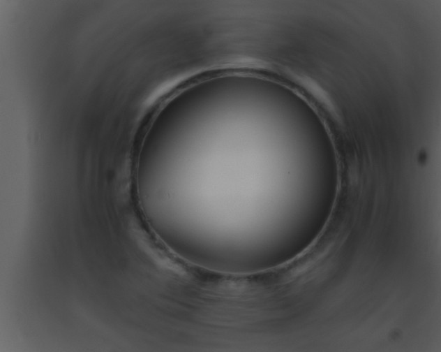 X0000093511364200710191301