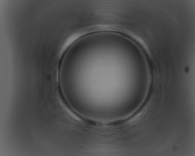 X0000093511365200710191301