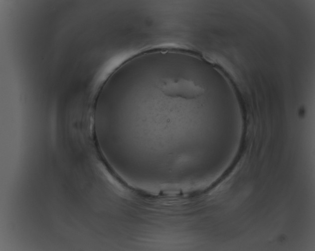 X0000093511367200710191301