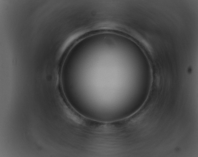 X0000093511368200710191301
