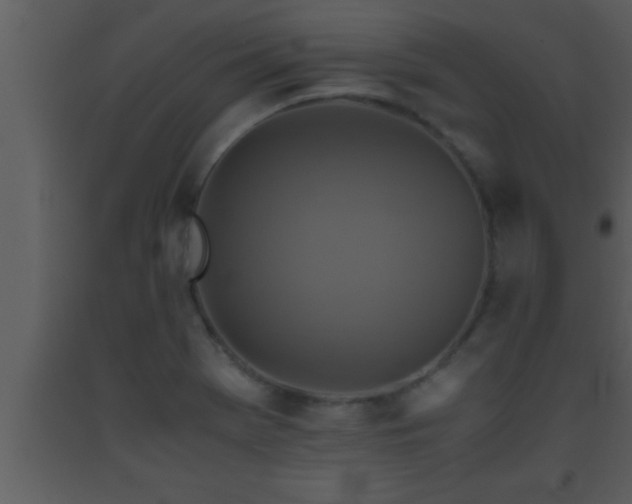 X0000093511369200710191301