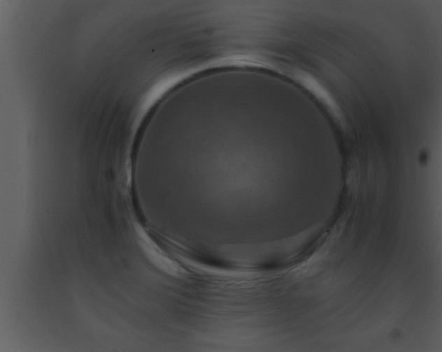 X0000093511372200710191301