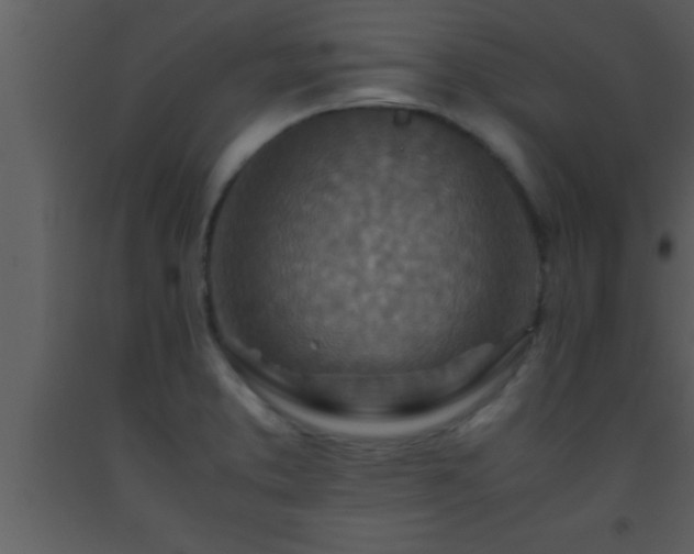 X0000093511373200710191301